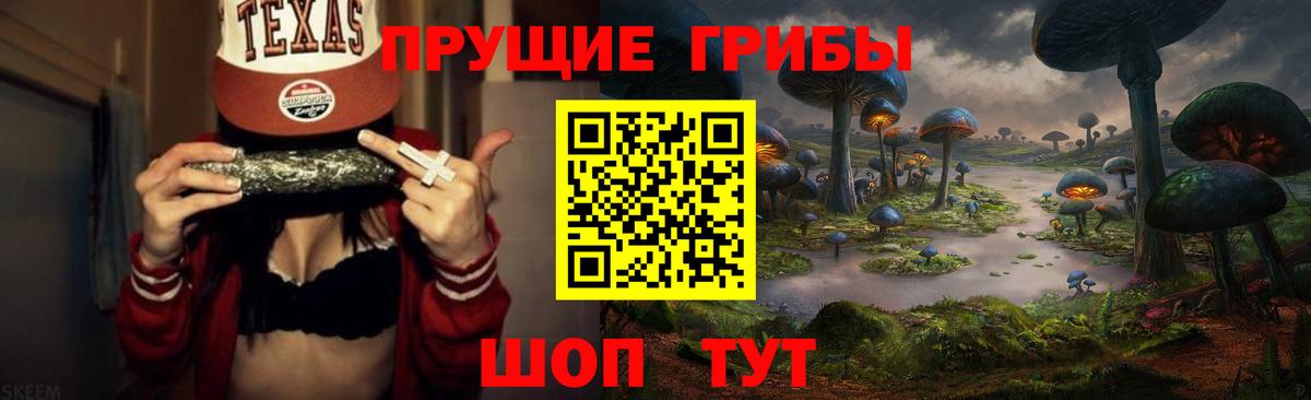 Галлюциногенные грибы GOLDEN TEACHER  Галлюциногенные грибы ЛСД  где продают наркотики  Вход с VPN  Шелехов 